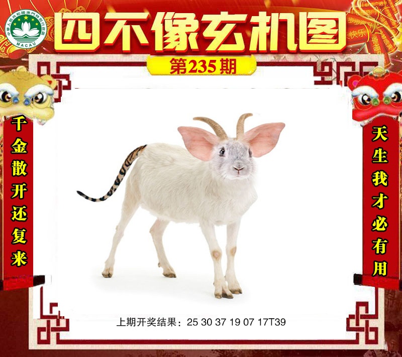 ���ͼƬ�Ŵ�